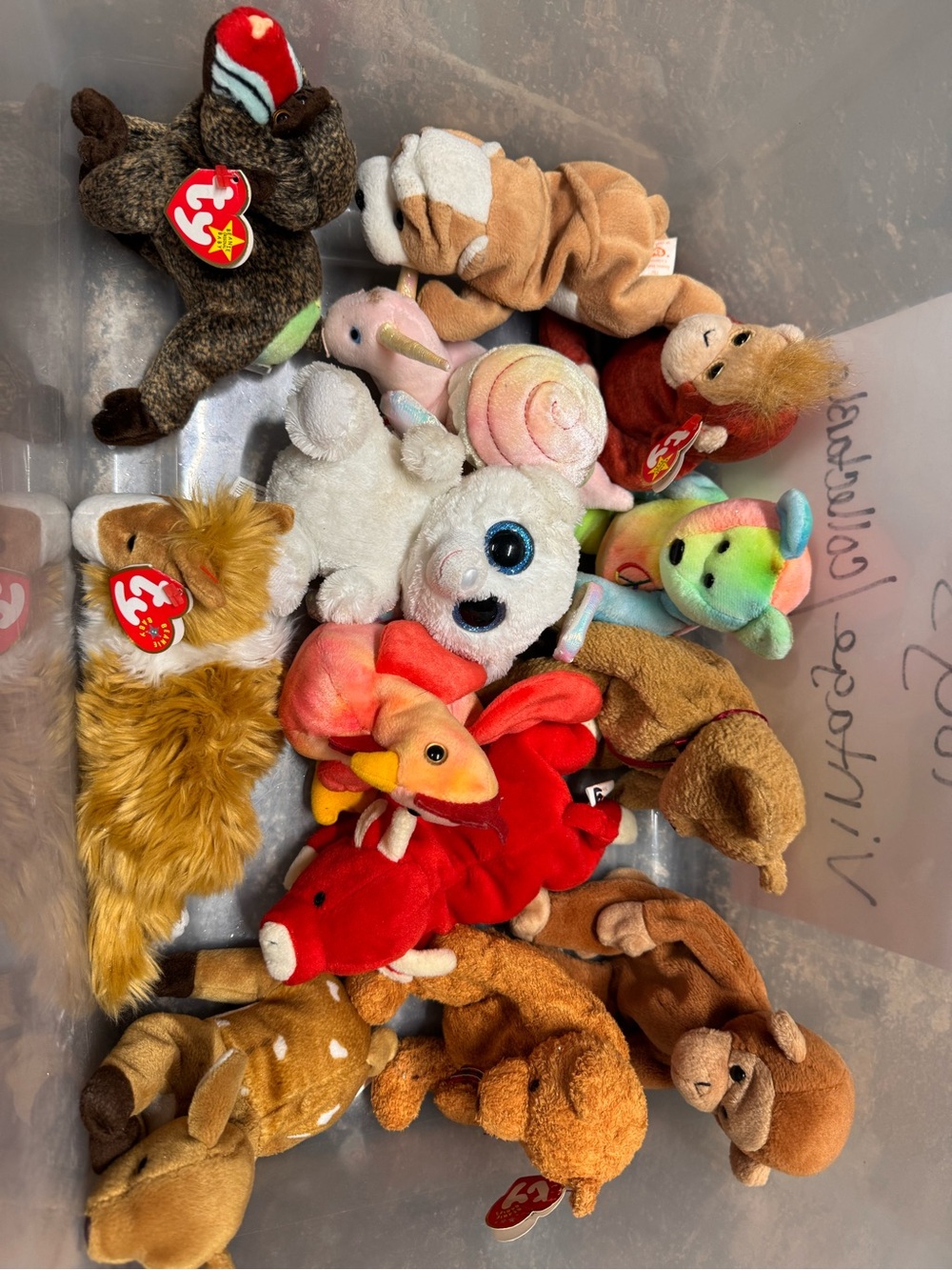 Ty Assorted Beanie Plush Pack - Multicolor Favorites